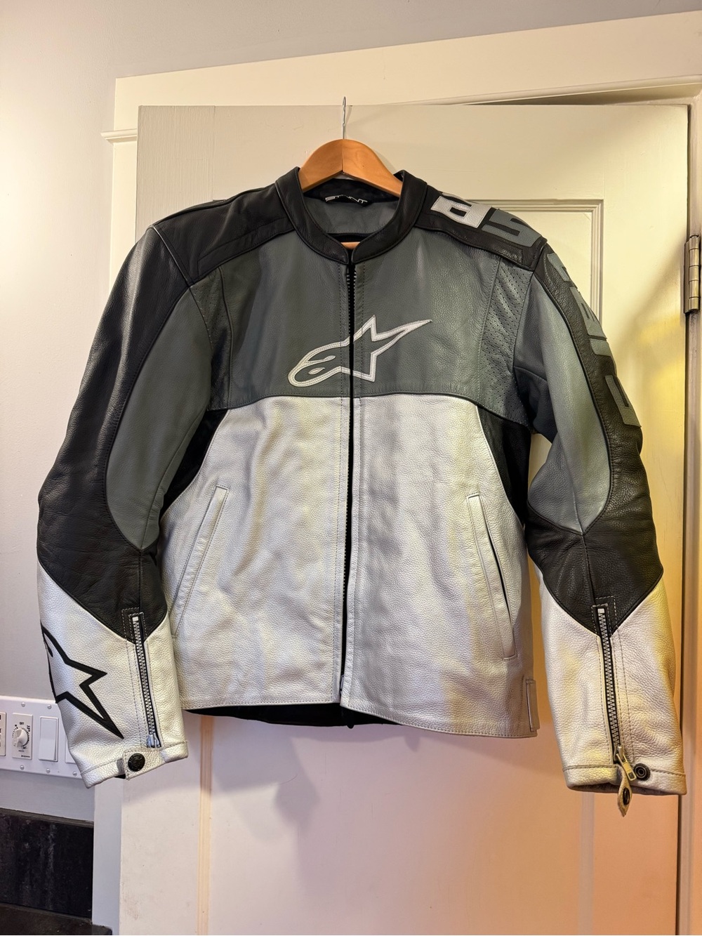 Alpinestars Men's Black, Gray & White Leather Motorcycle Jacket